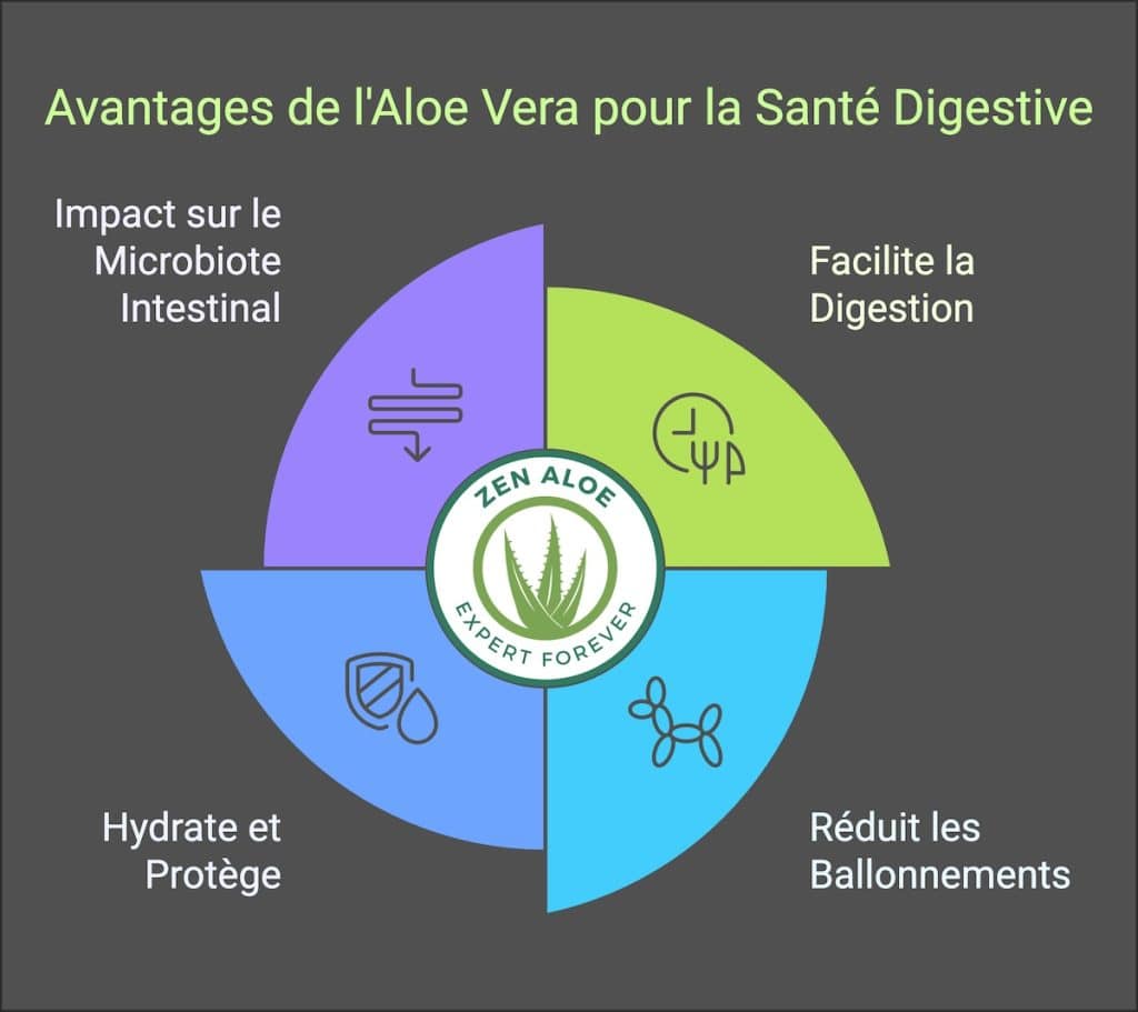avantage aloe vera digestion