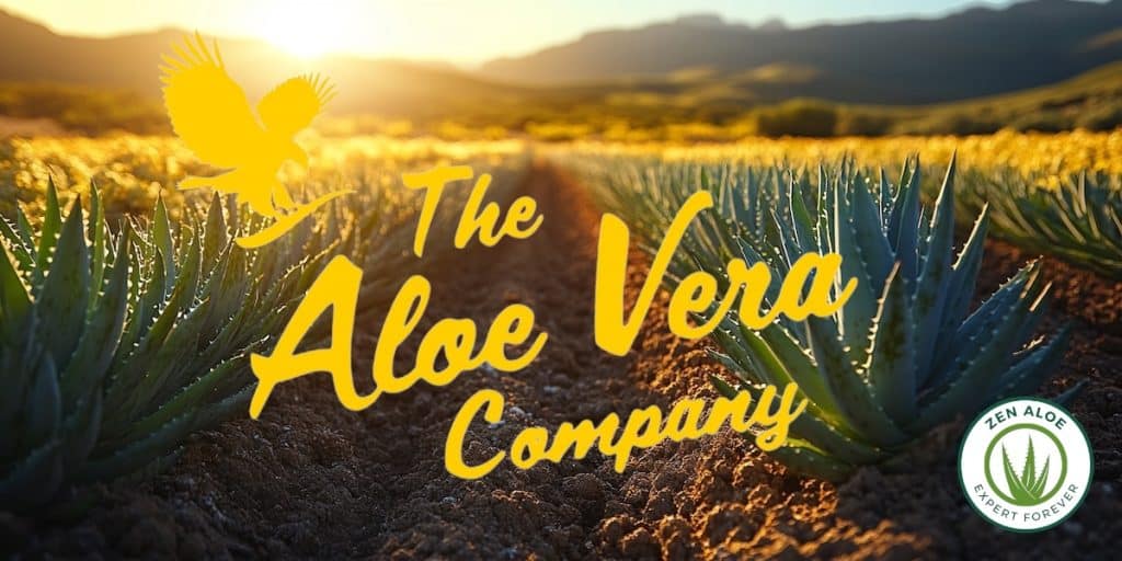 champs d'aloe vrea