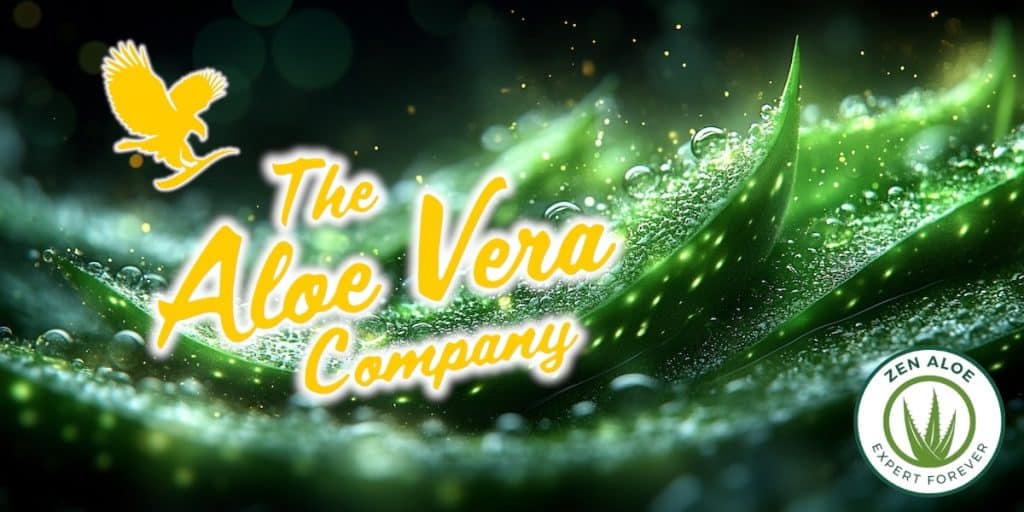 gros plan aloe vera