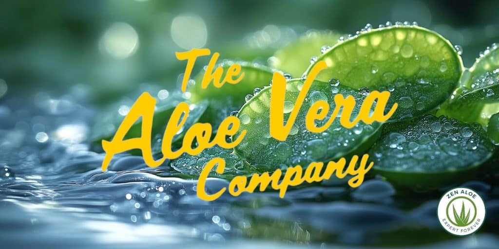 gros plan sur une feuille d'aloe vera coupée en tranche
