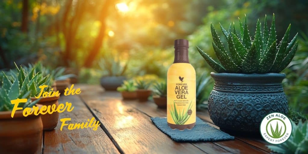 plan d'aloe vera avec une bouteille